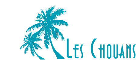Camping 5 étoiles Les Chouans